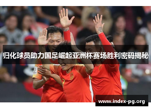 归化球员助力国足崛起亚洲杯赛场胜利密码揭秘 归化球员助力国足崛起亚洲杯赛场胜利密码揭秘