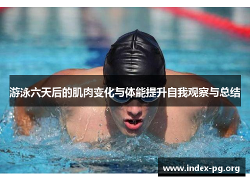 游泳六天后的肌肉变化与体能提升自我观察与总结 游泳六天后的肌肉变化与体能提升自我观察与总结