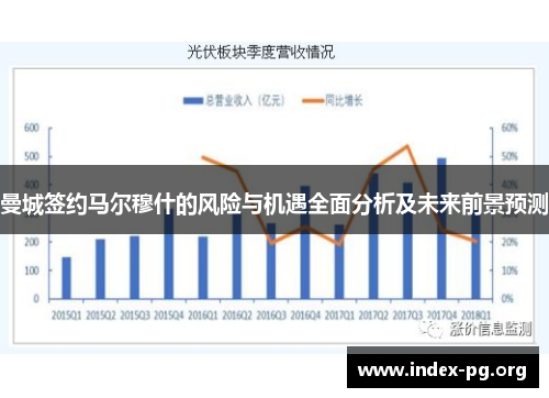 曼城签约马尔穆什的风险与机遇全面分析及未来前景预测 曼城签约马尔穆什的风险与机遇全面分析及未来前景预测