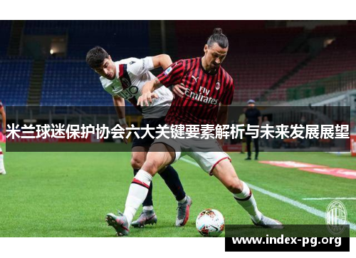 米兰球迷保护协会六大关键要素解析与未来发展展望 米兰球迷保护协会六大关键要素解析与未来发展展望