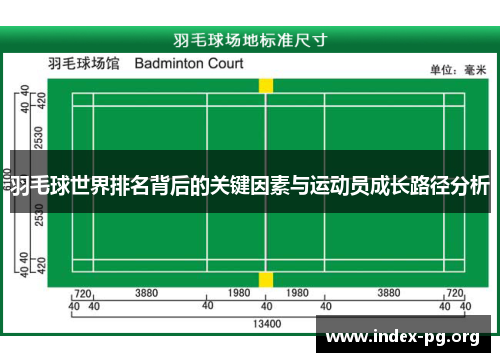 羽毛球世界排名背后的关键因素与运动员成长路径分析