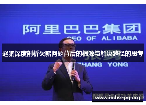 赵鹏深度剖析欠薪问题背后的根源与解决路径的思考